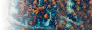 Blauf&auml;rbung